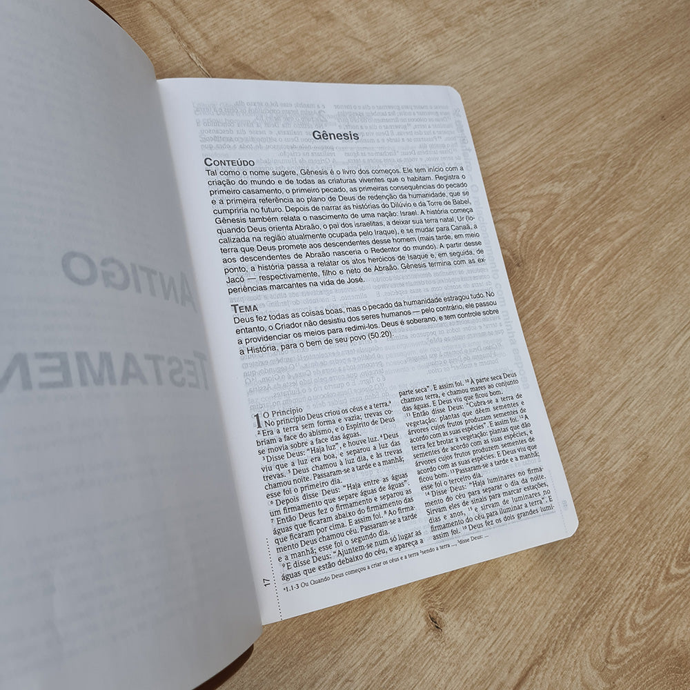 Bíblia Devocional Do Homem | NVI | Letra Grande | Capa Luxo Marrom
