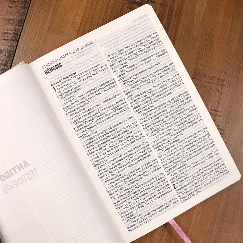 Bíblia Sagrada Coração Puro | NAA | Letra Normal | Capa Dura