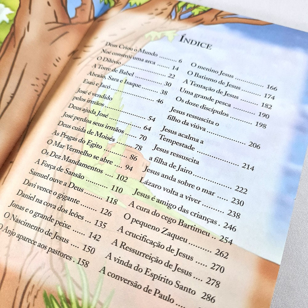 Bíblia Infantil e Seus Heróis
