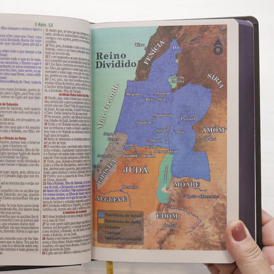 Bíblia Sagrada Bom Pastor | ARC | Letra Maior | Harpa e Corinhos | Capa Dura