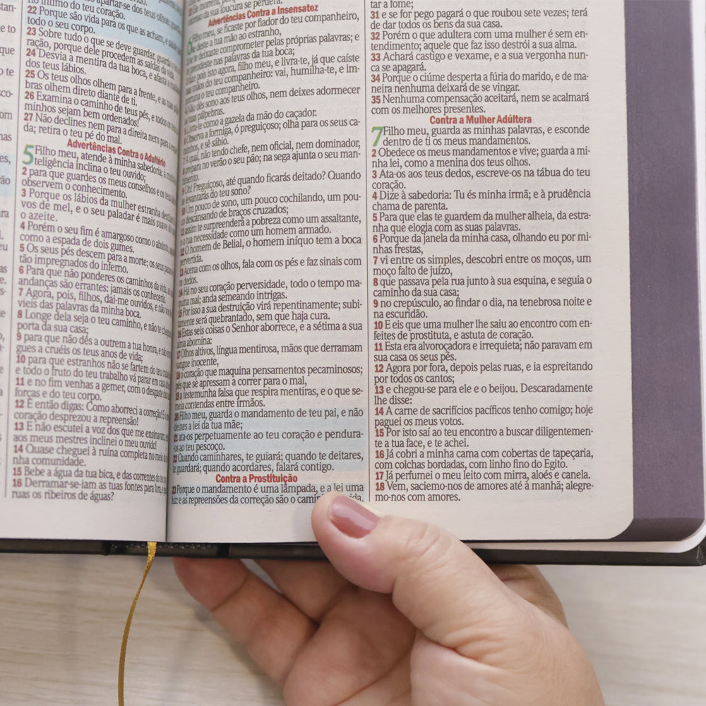 Bíblia Sagrada Bom Pastor | ARC | Letra Maior | Harpa e Corinhos | Capa Dura
