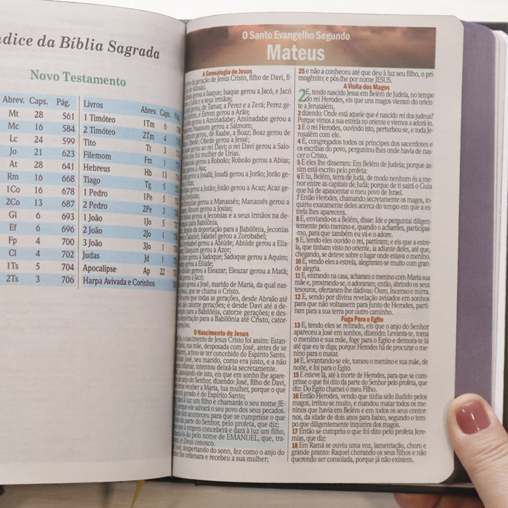 Bíblia Sagrada Ide | ARC | Letra Maior | Harpa e Corinhos | Capa Dura