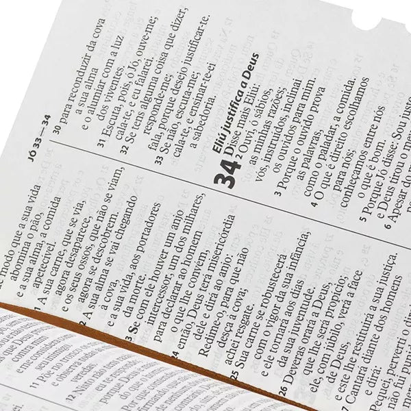 Bíblia Sagrada | Letra Gigante | Almeida Revista e Atualizada (ARA) | Capa Marrom Claro Luxo | com Índice