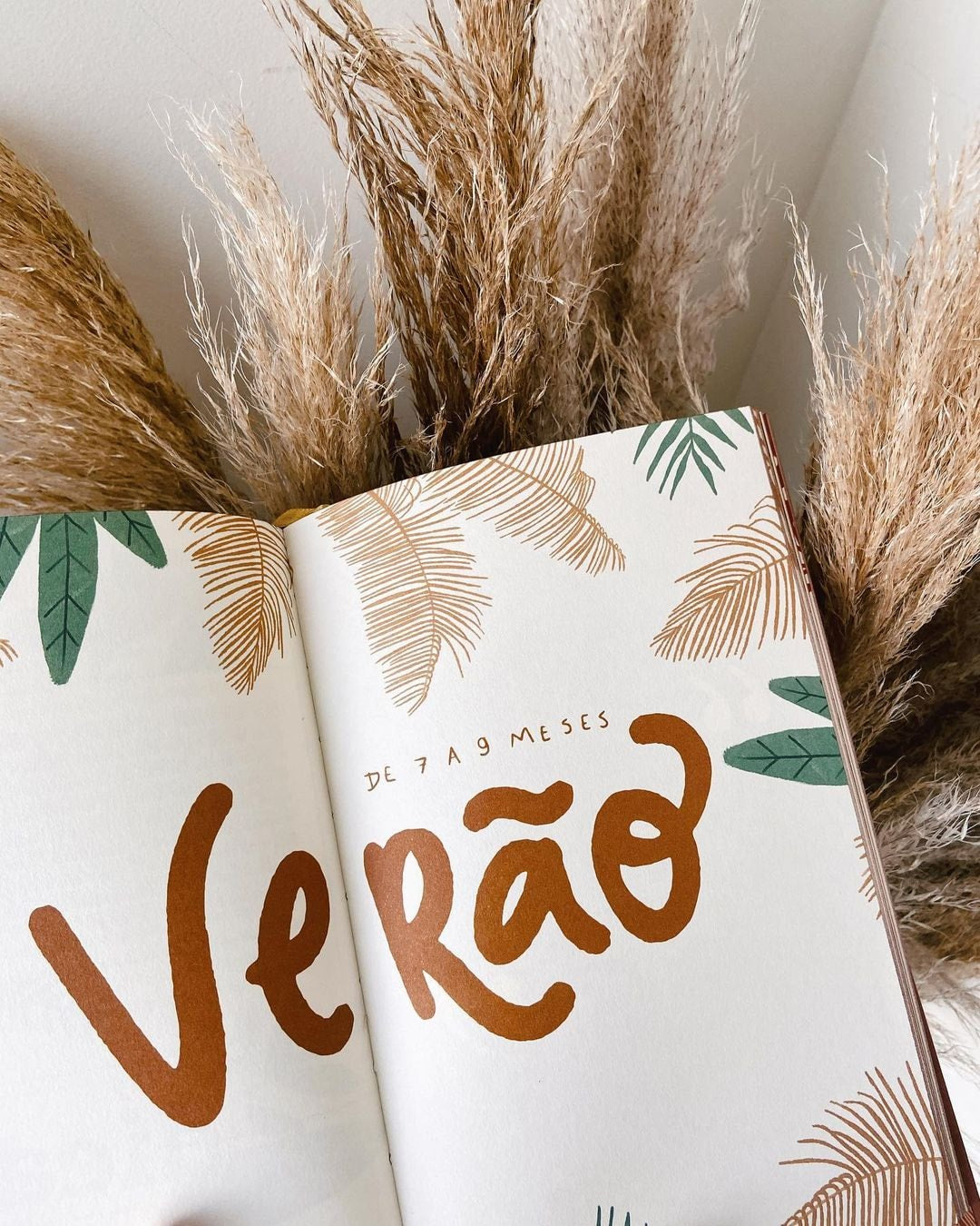 As primeiras Quatro Estações | Fernanda Witwytzky | Capa Dura