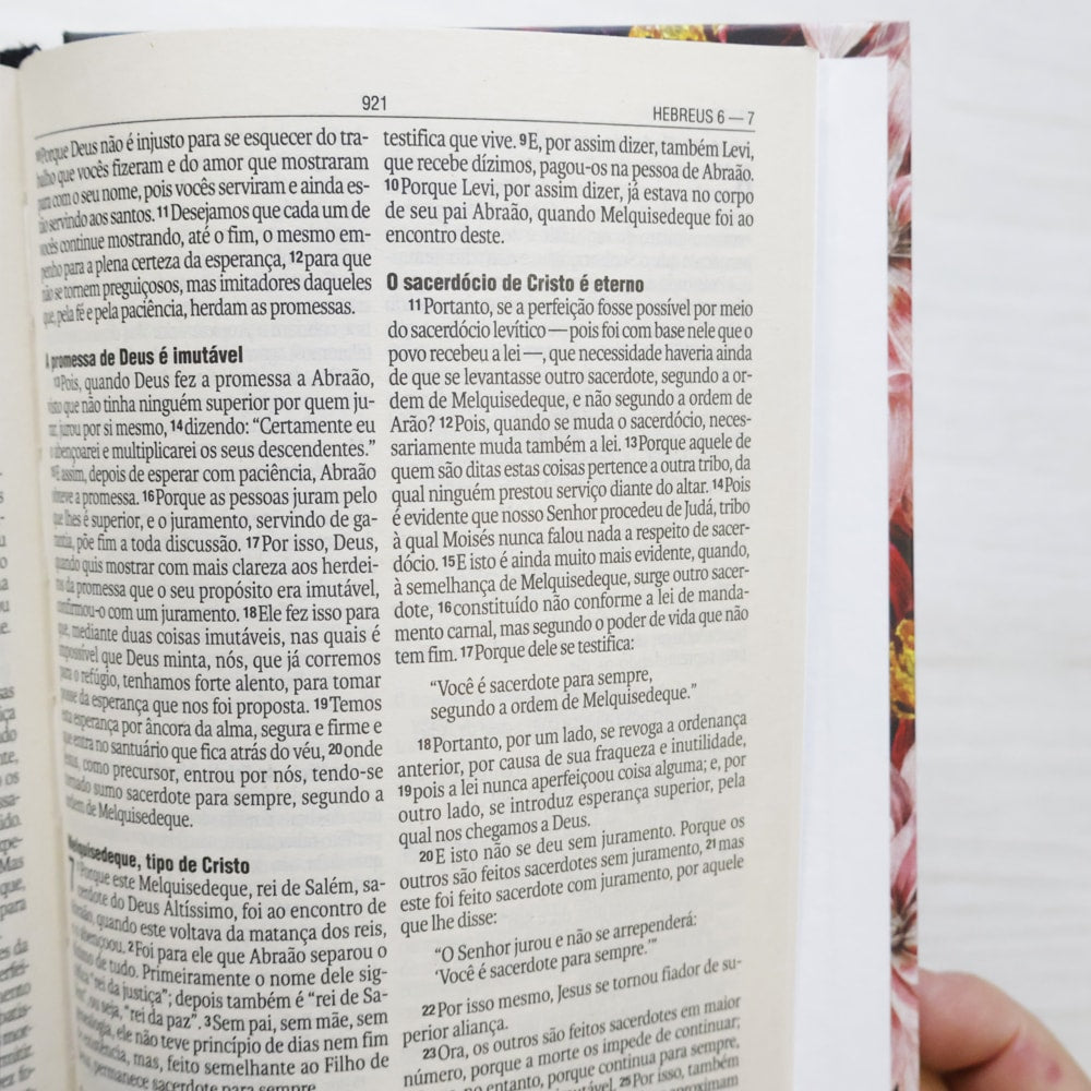 Bíblia Sagrada Crisântemo | NAA | Letra Maior| Capa Dura