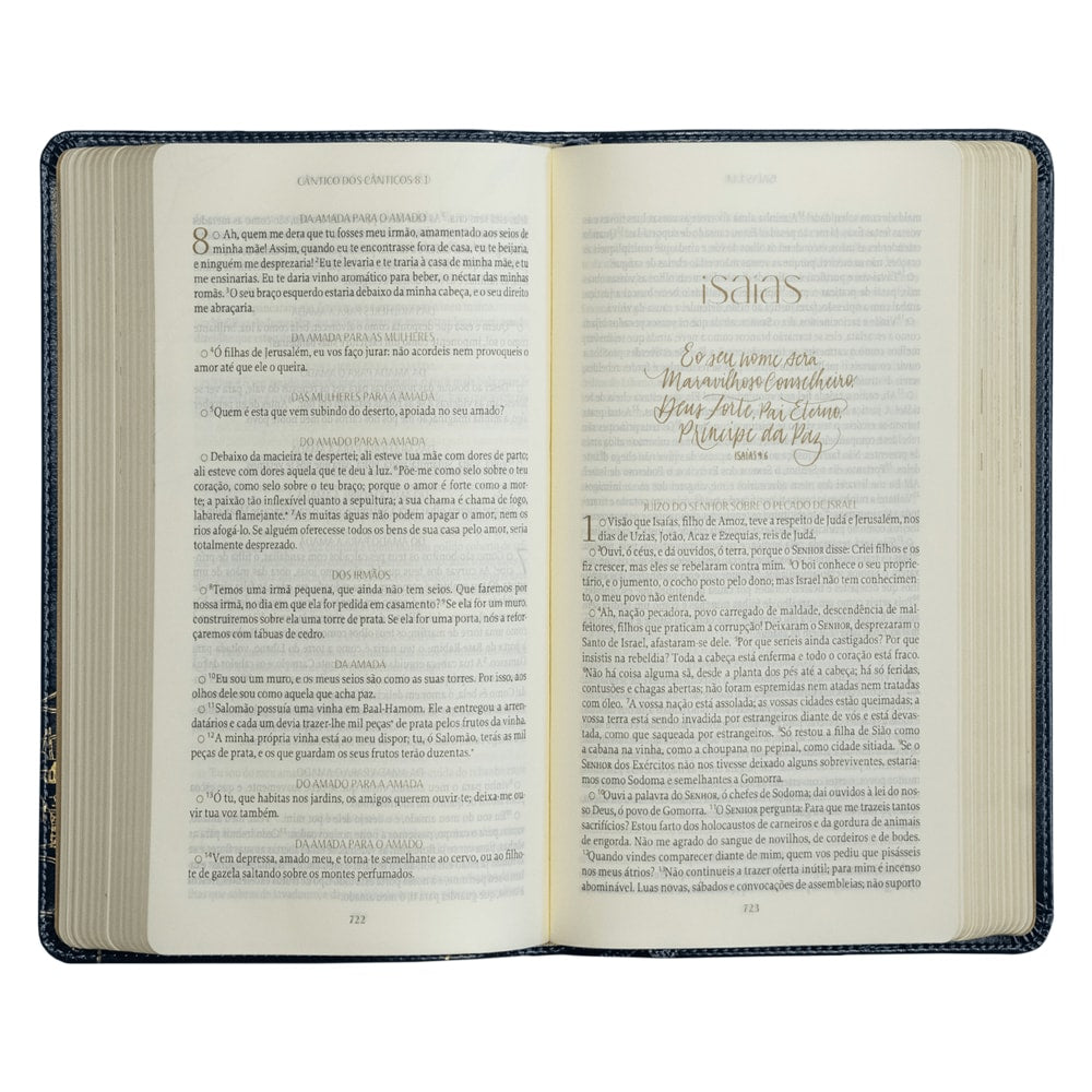 Bíblia The Purpose Book | A21 | Capa Couro Soft Azul Reino