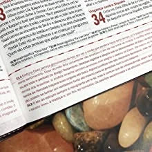 Bíblia Sagrada de Estudo Desafios de Todo Homem | NVT | Marrom