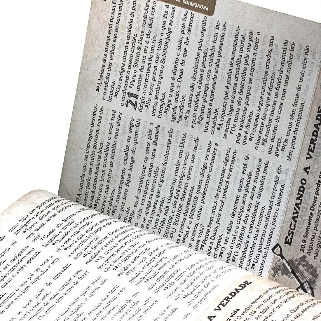 Bíblia das Descobertas para Adolescentes | Letra Normal | NTLH | Capa Couro Marrom Claro Ilustrada