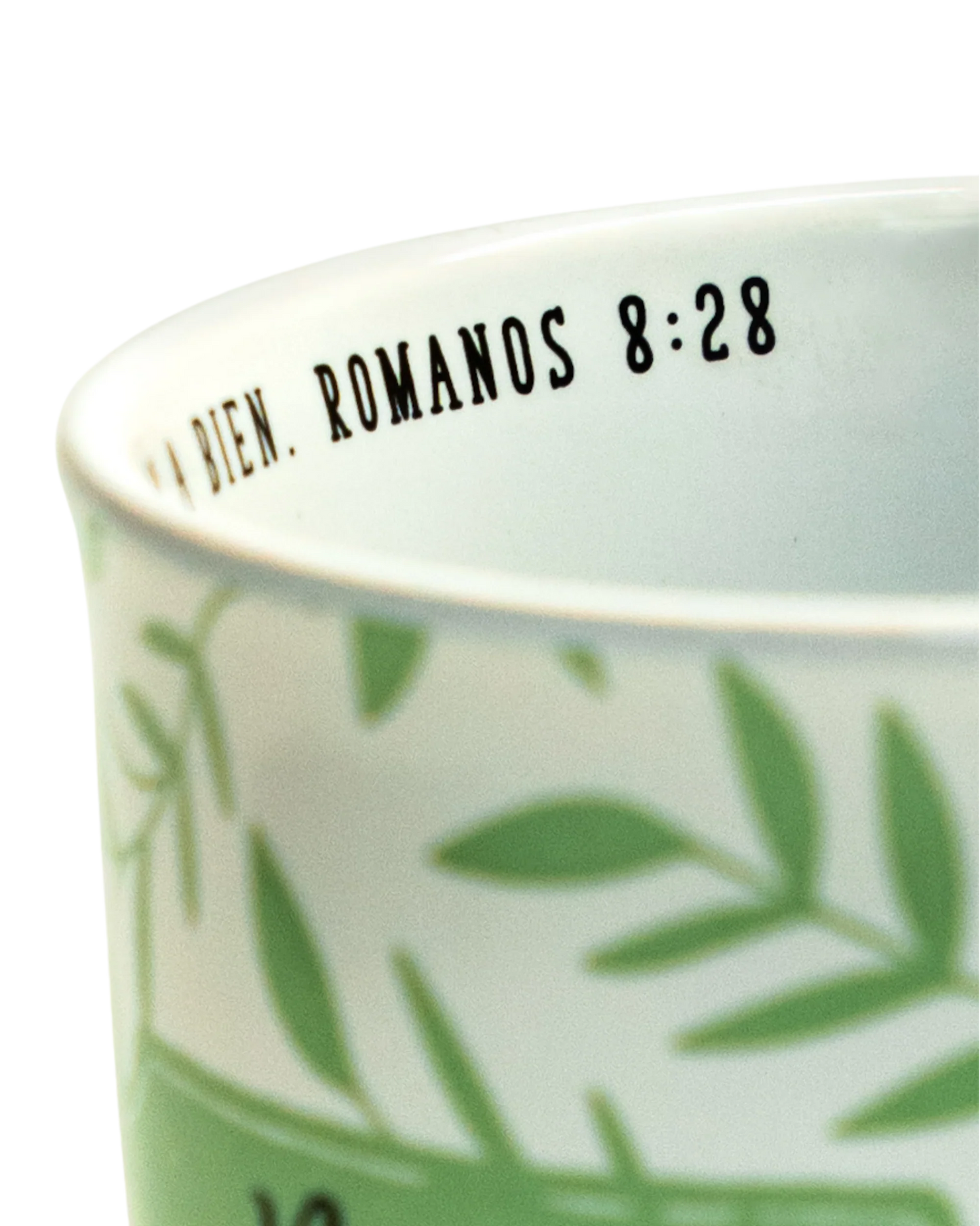 TAZA: Nunca te Rindas