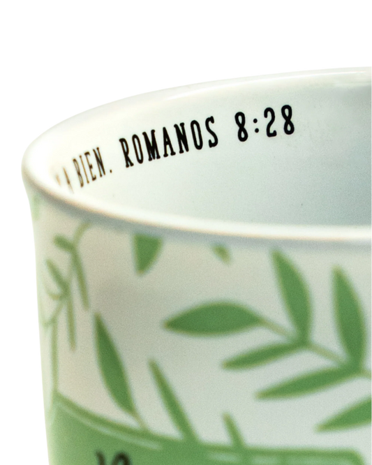 TAZA: Nunca te Rindas