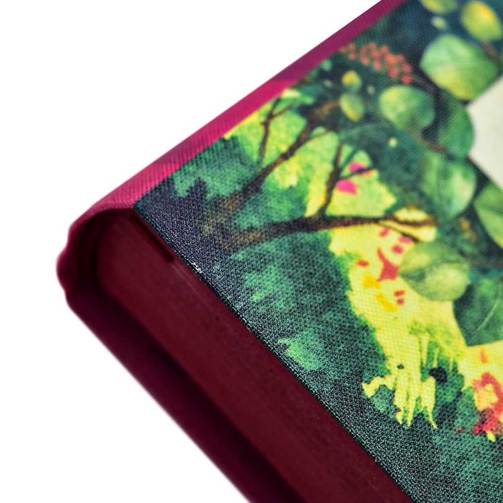 Bíblia da Garota Cristã, NTLH, Aquarela