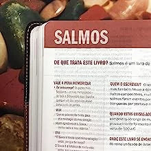 Bíblia Sagrada de Estudo Desafios de Todo Homem | NVT | Marrom