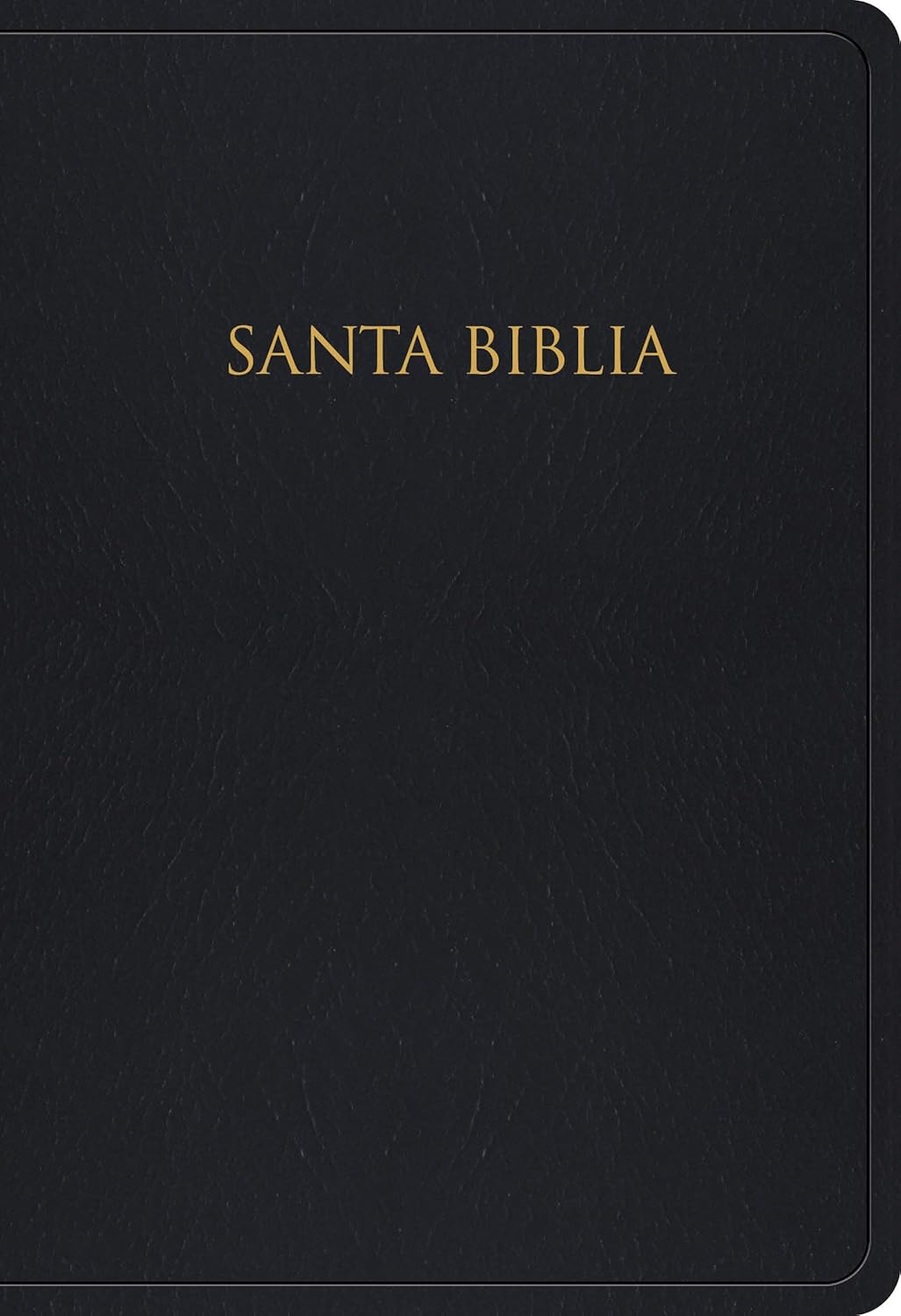 Santa Biblia Reina-Valera 1960 para Regalos y Premios | Negro Imitación Piel | Ilustrada
