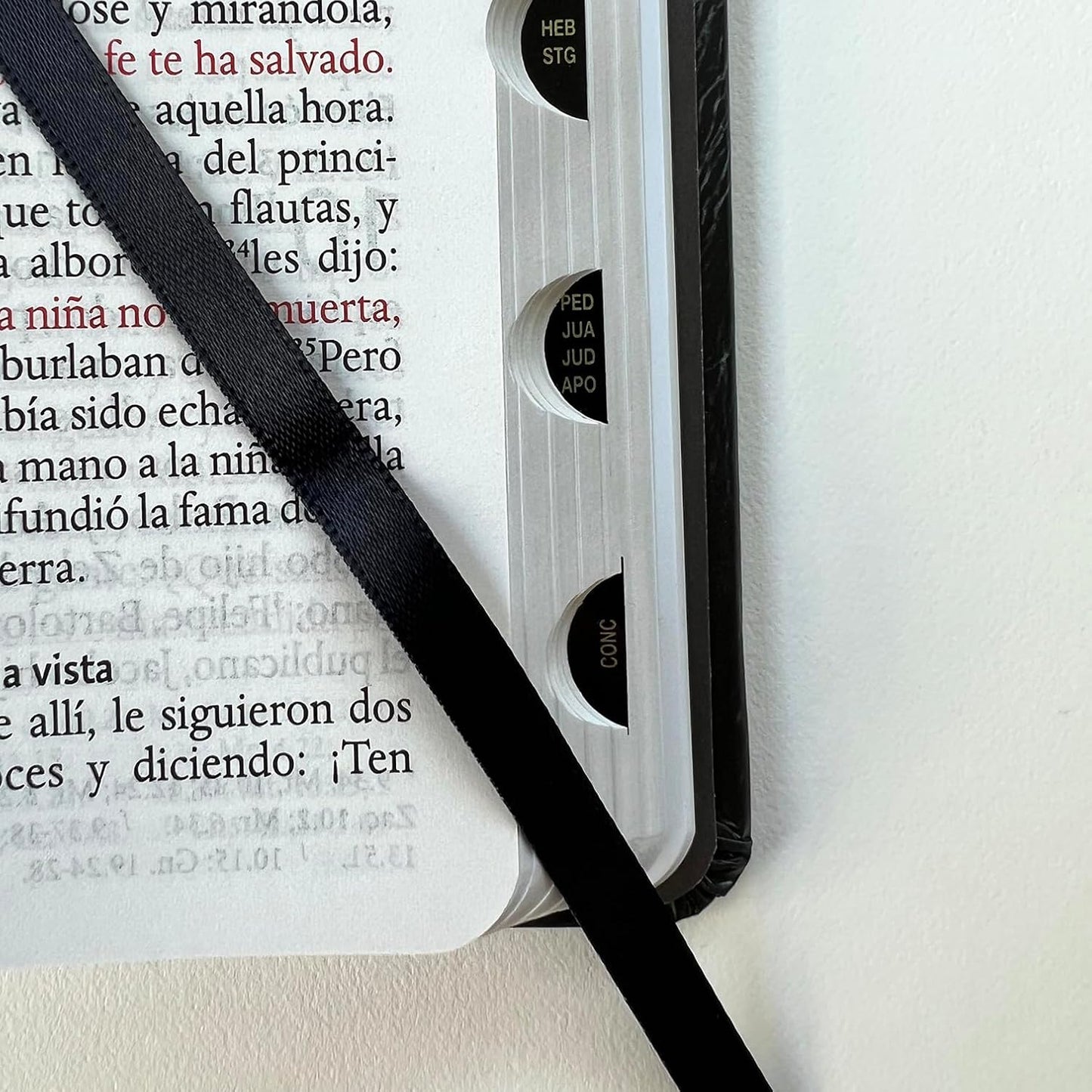 Biblia Sagrada | RVR 1960 | Letra grande | Tapa dura | León de Judá