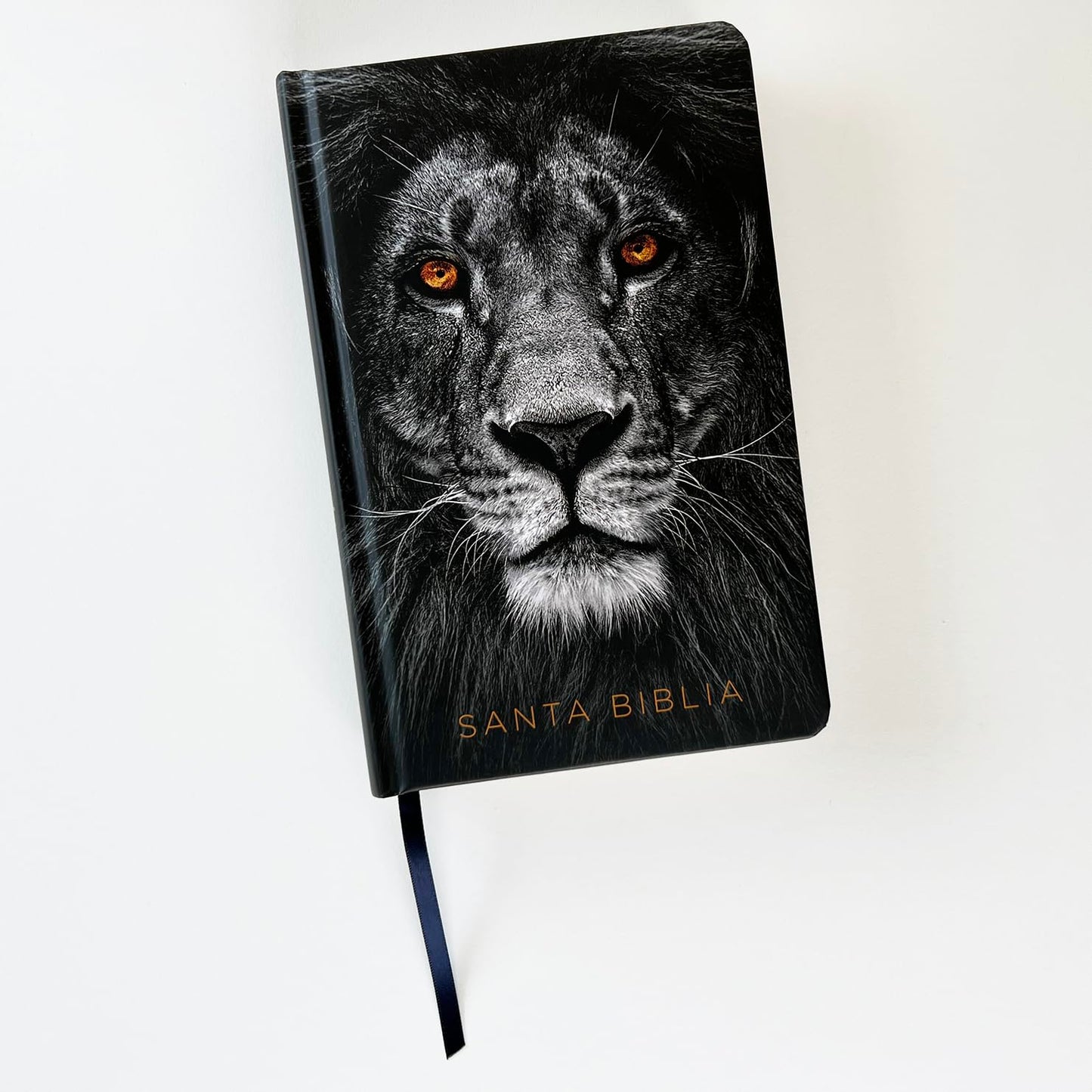 Biblia Sagrada | RVR 1960 | Letra grande | Tapa dura | León de Judá