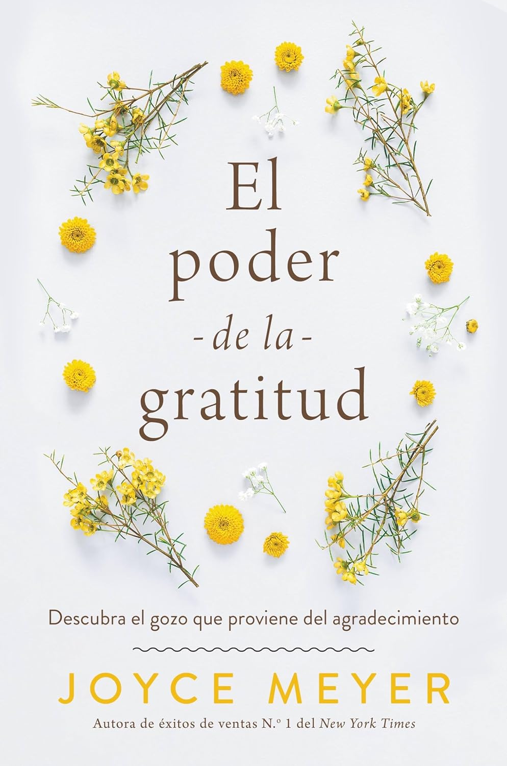El poder de la gratitud | Joyce Meyer