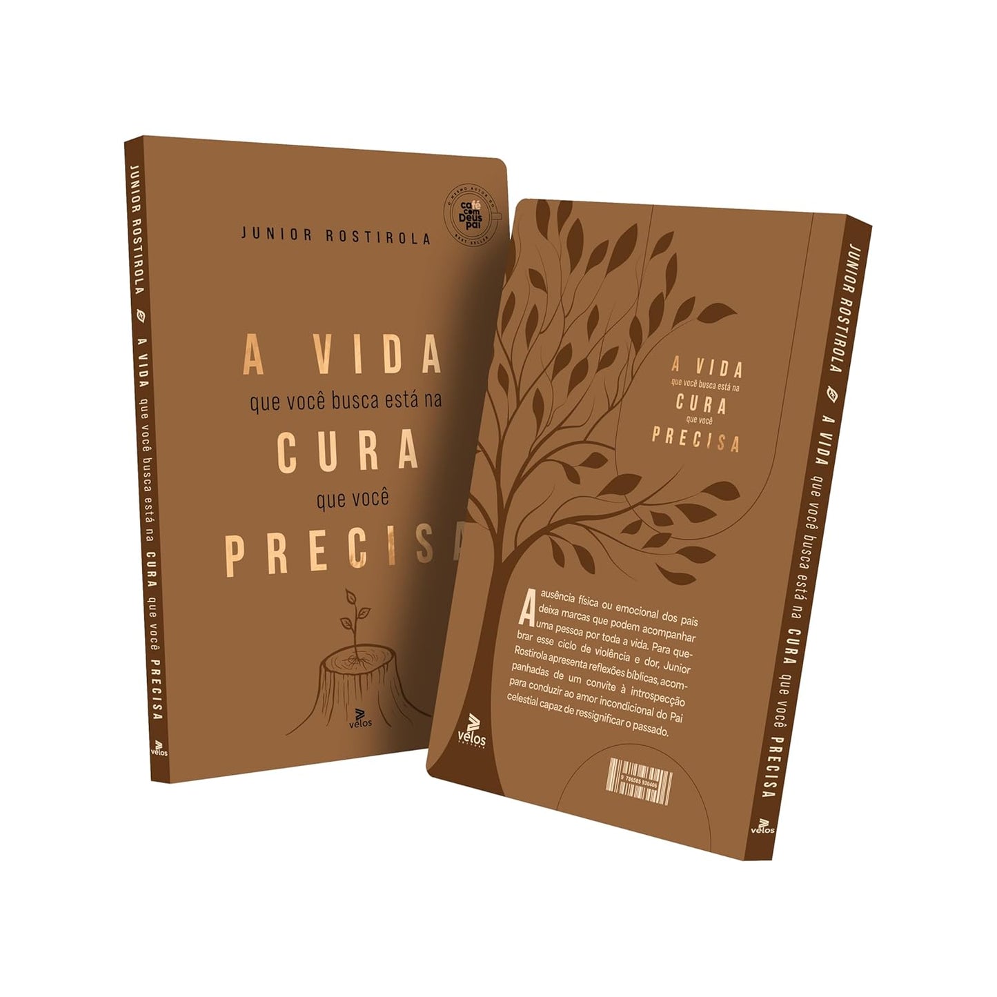 A vida que você busca está na cura que você precisa | Júnior Rostirola | Reflexões bíblicas | Capa dura