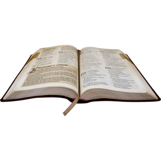 Bíblia das Descobertas para Adolescentes | Capa Rosa | Couro Sintético