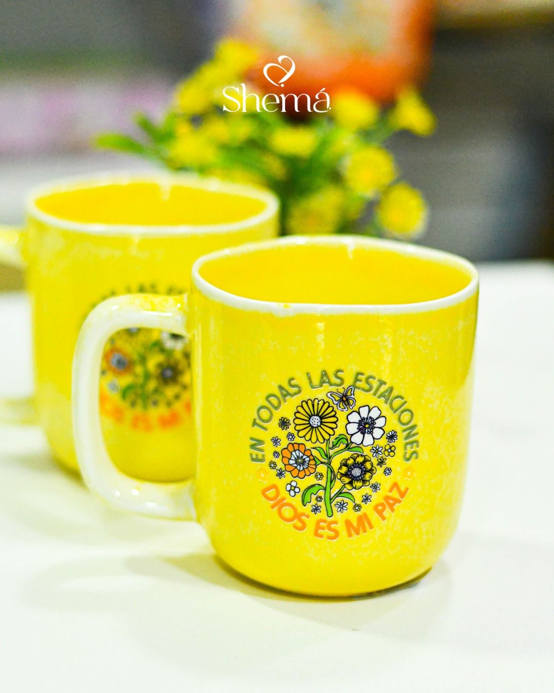 Taza | En todas las estaciones Dios es mi paz