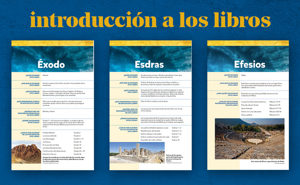 Biblia Visual de Estudio para Niños | NBLA | Tapa dura | Más de 700 ilustraciones