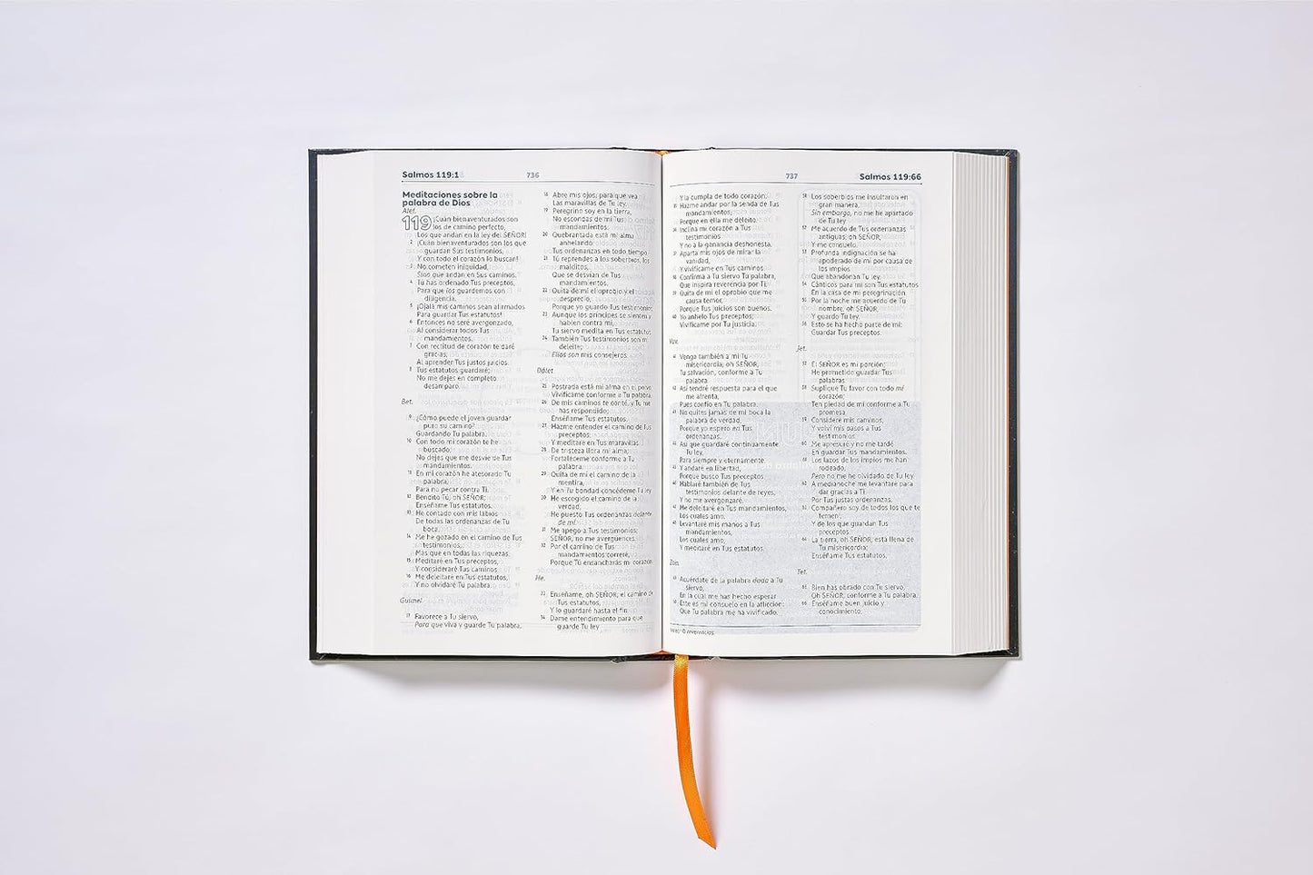 Biblia de Estudio para Adolescentes | NBLA | Tapa Dura | Azul | Comfort Print