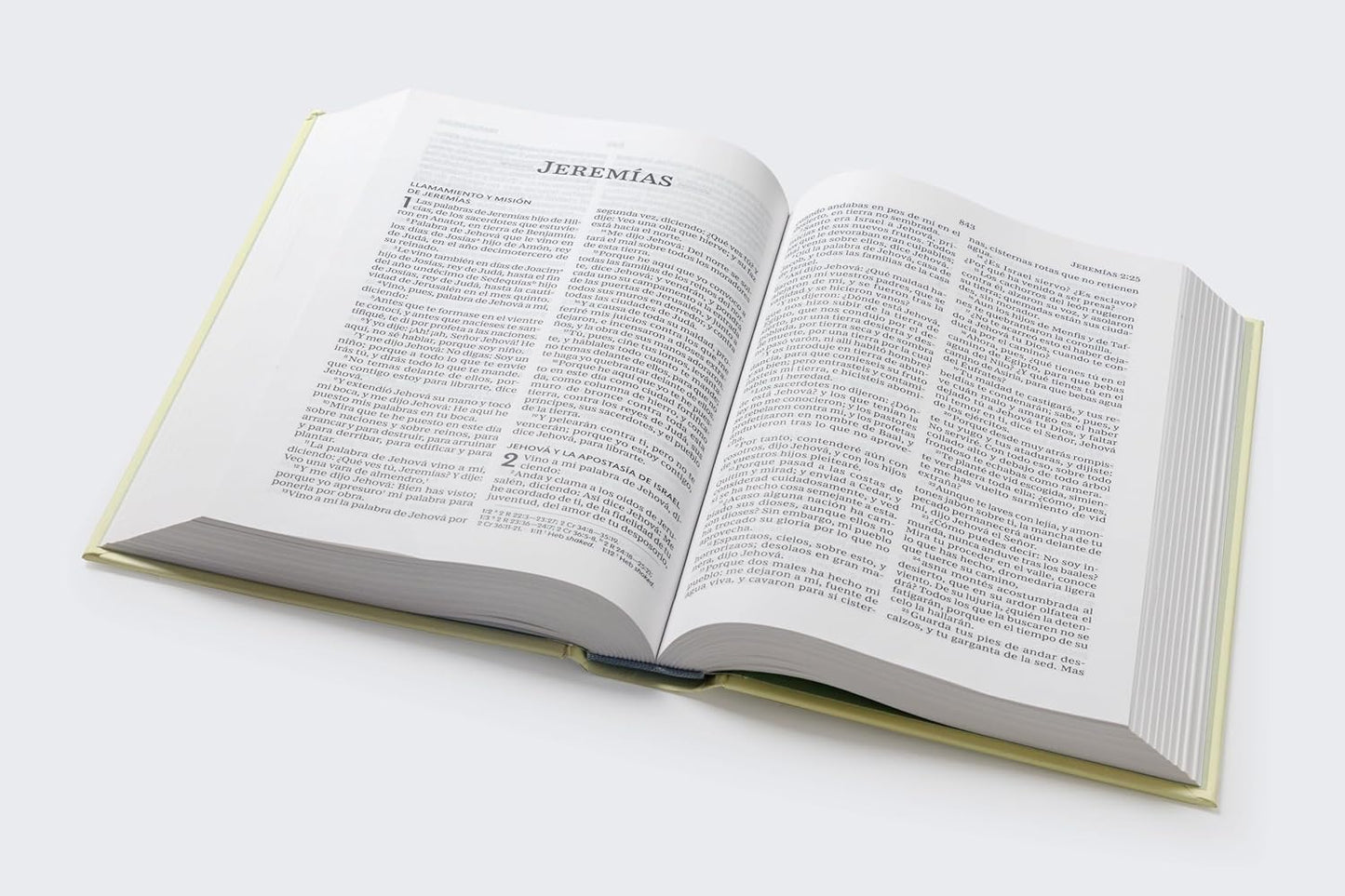 Biblia Sagrada | RVR 1960 | Tapa dura floral | Palabras de Jesús en rojo