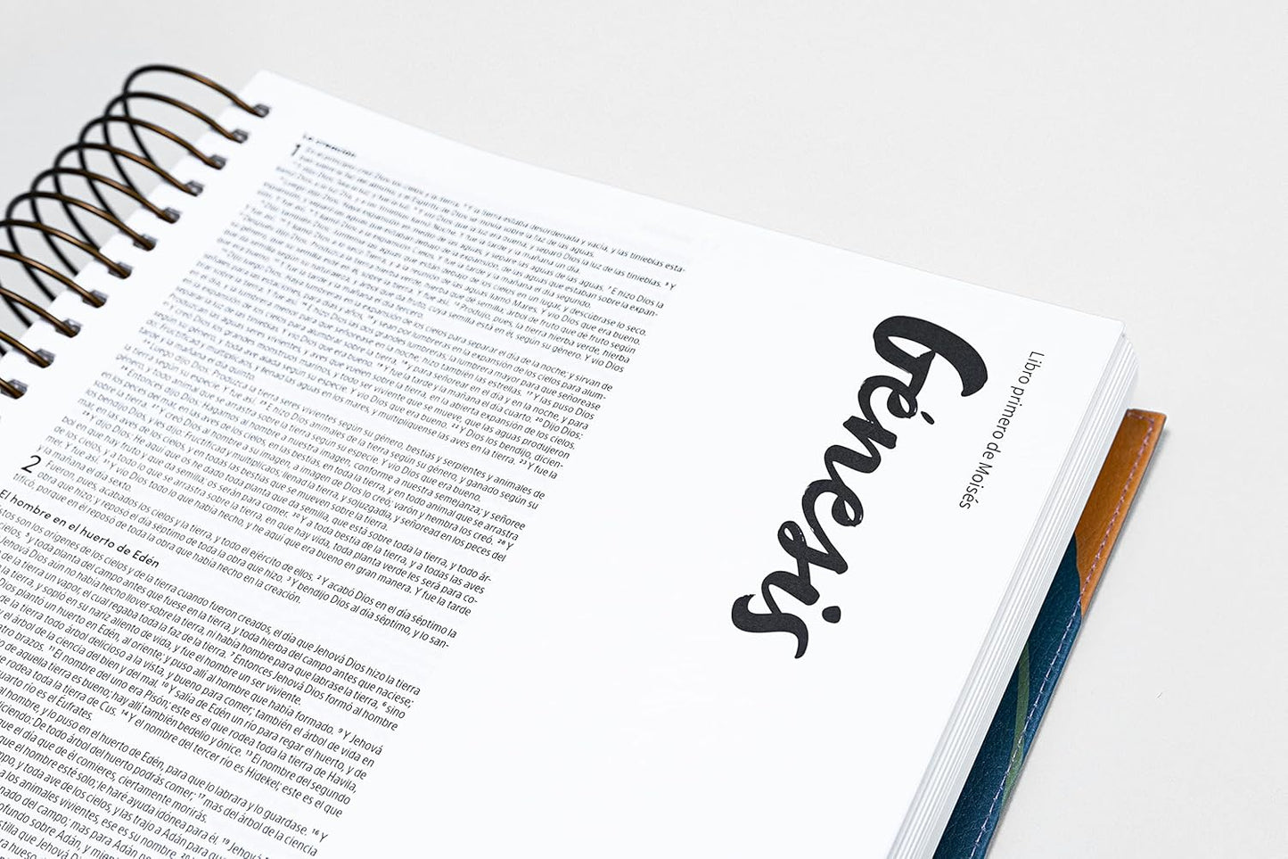 Biblia para ilustrar | Reina Valera 1960 | Símil piel floral | Margen creativo | Espiral metálico