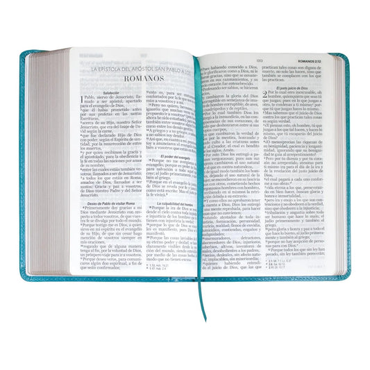Biblia RVR 1960 | Letra Grande | Símil Piel Turquesa con Índice | Reina Valera 1960