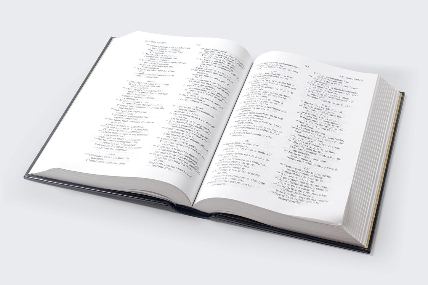 Biblia Sagrada | RVR 1960 | Tapa dura negra | Palabras de Jesús en rojo