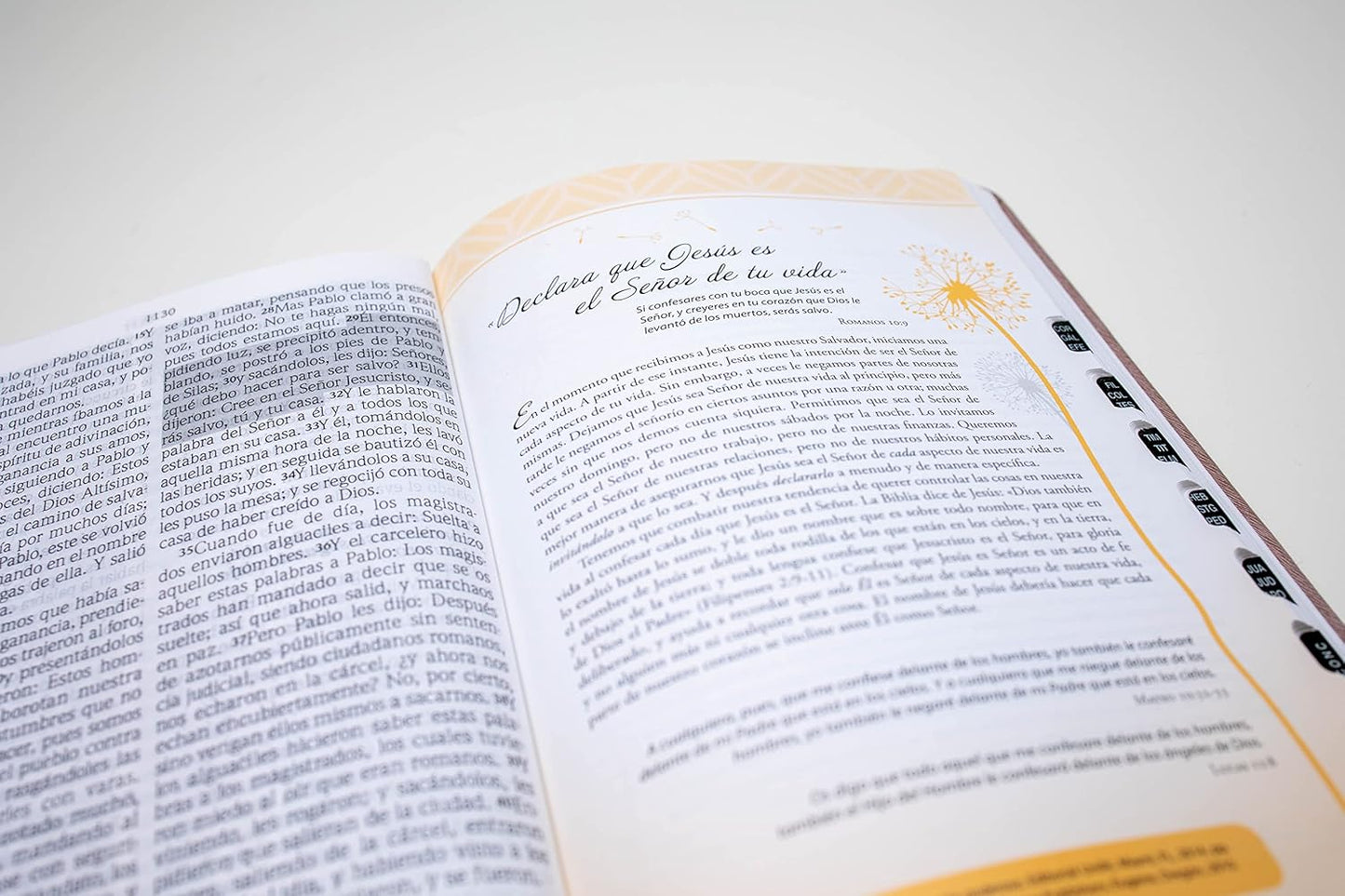 Biblia para Mujeres | RVR 1960 | Promesas Inspira | Piel especial rosa con índice | Tapa dura
