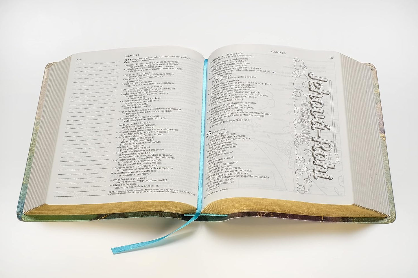 Biblia Inspira NTV | SentiPiel | Oro | Para colorear