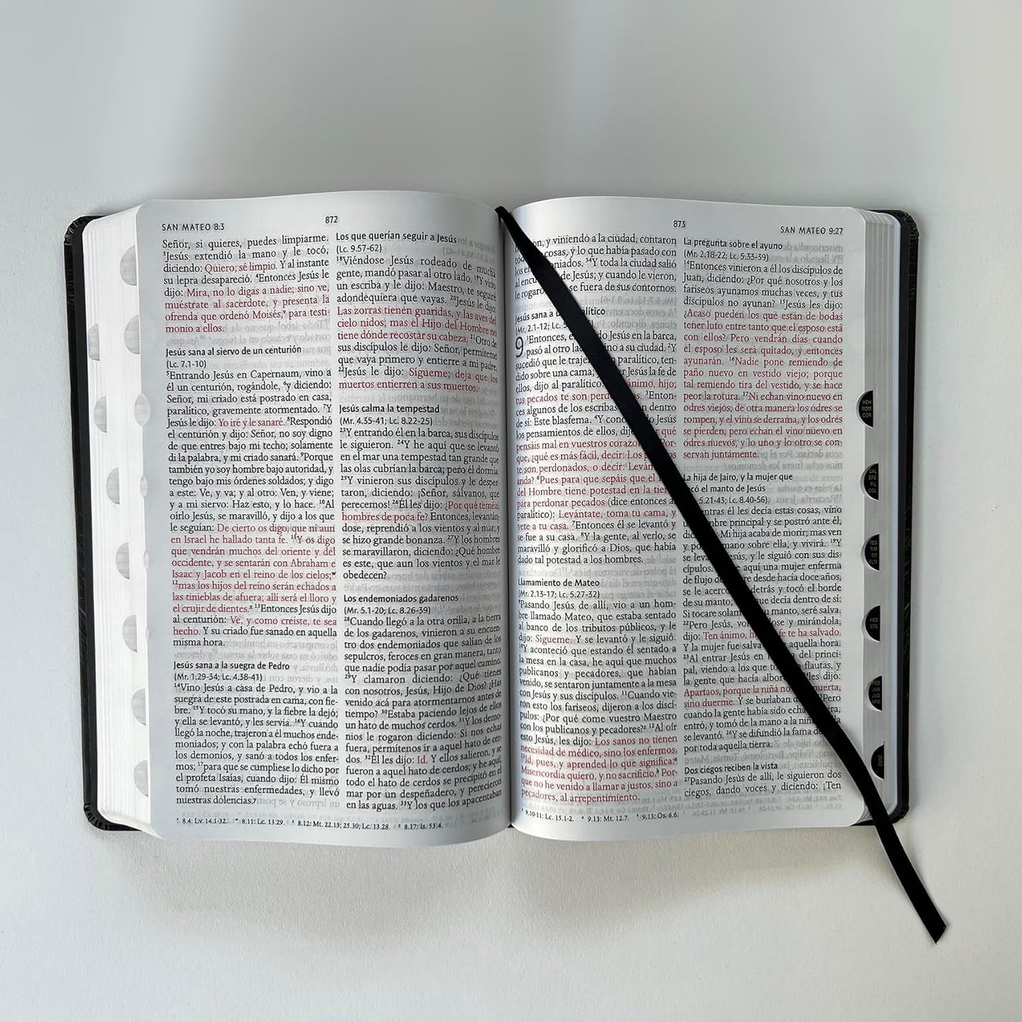 Biblia Sagrada | RVR 1960 | Letra grande | Tapa dura | León de Judá