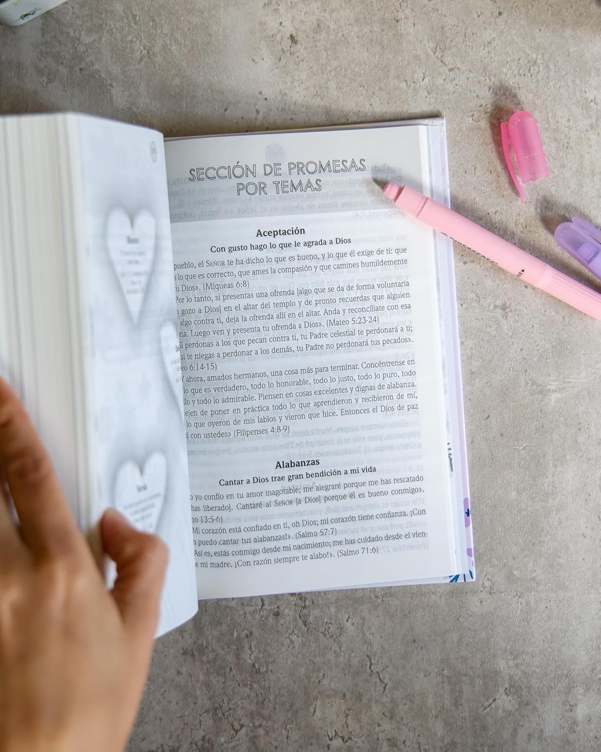 Biblia de Promesas para Niñas | NTV | Tapa dura | Historias bíblicas
