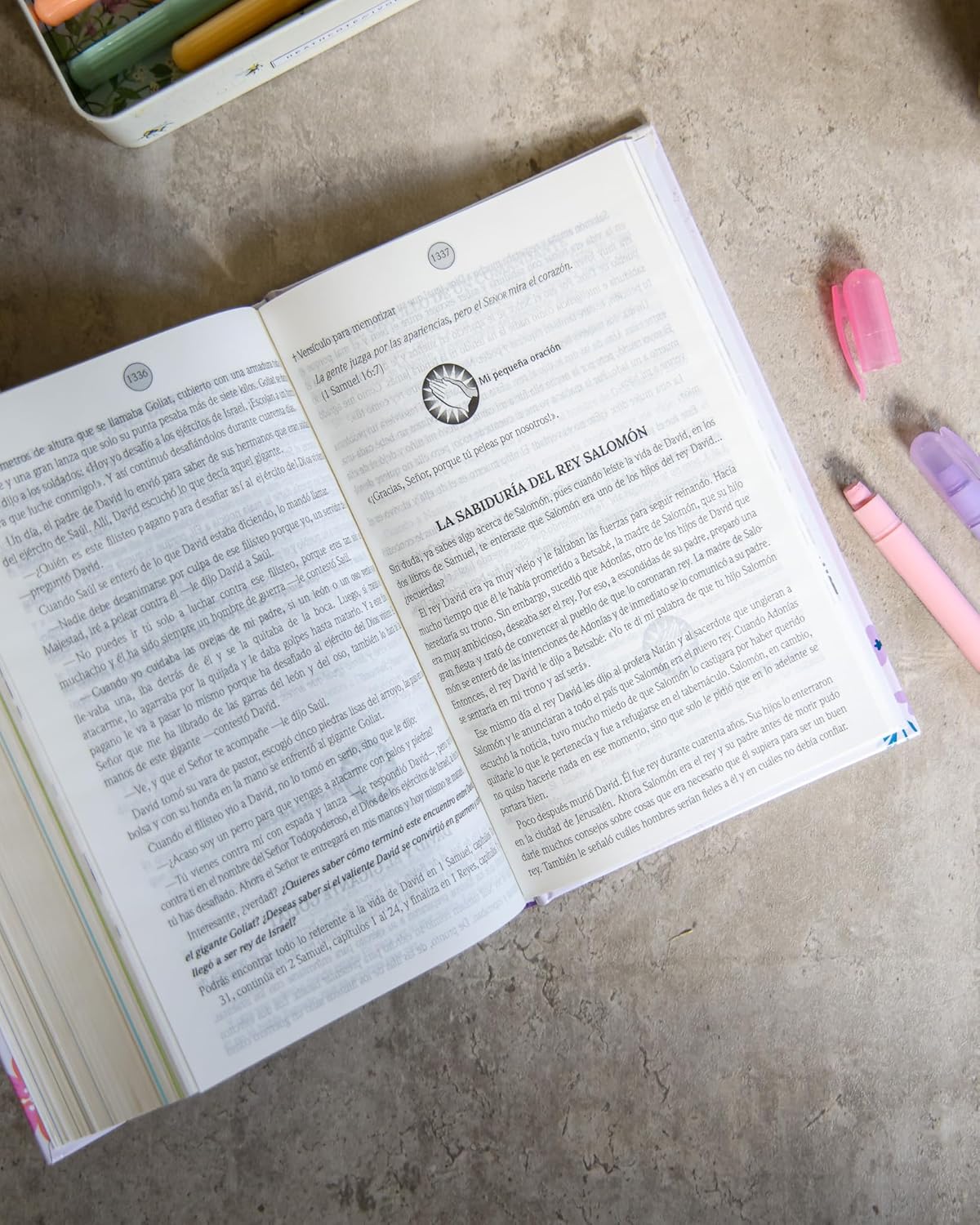 Biblia de Promesas para Niñas | NTV | Tapa dura | Historias bíblicas