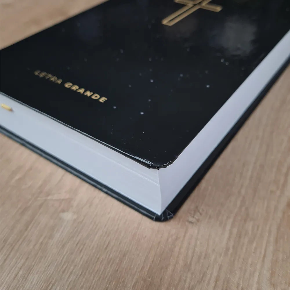 Bíblia Sagrada Salvos pela Graça | NVI | Letra Grande | Capa Dura