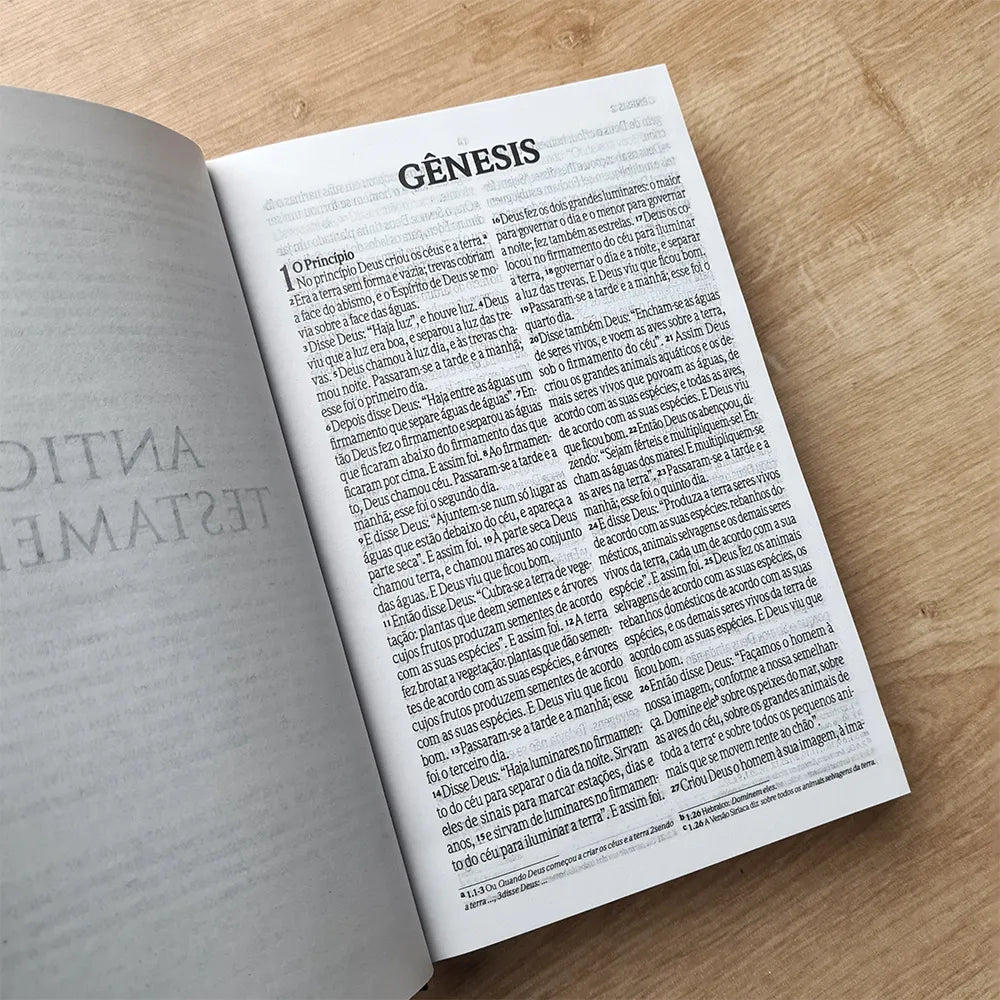 Bíblia Sagrada Salvos pela Graça | NVI | Letra Grande | Capa Dura