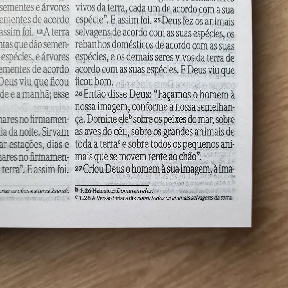 Bíblia Sagrada Salvos pela Graça | NVI | Letra Grande | Capa Dura