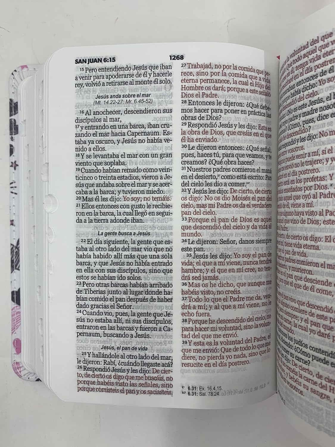 Biblia de Bolsillo | Reina Valera 1960 | Imitación Piel Tela Impresa con Índice | Palabras de Vida | Rosa