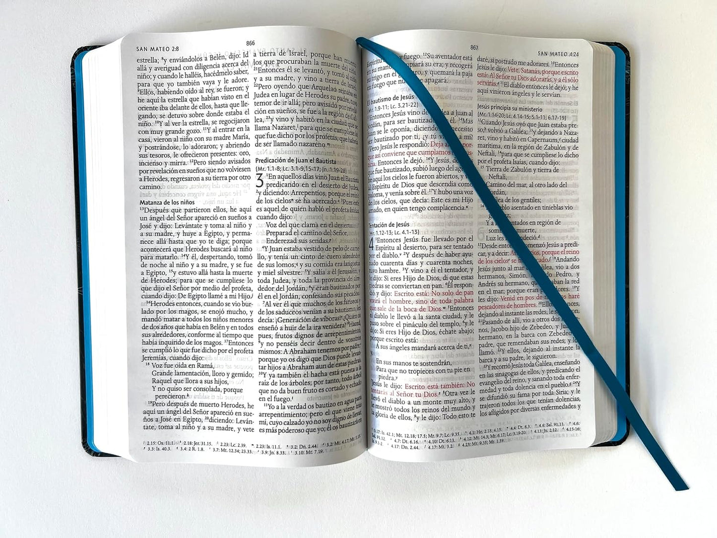 Biblia RVR 1960 | Letra Grande | Tamaño Manual | Tapa Dura Tela Aguamarina | León de Judá