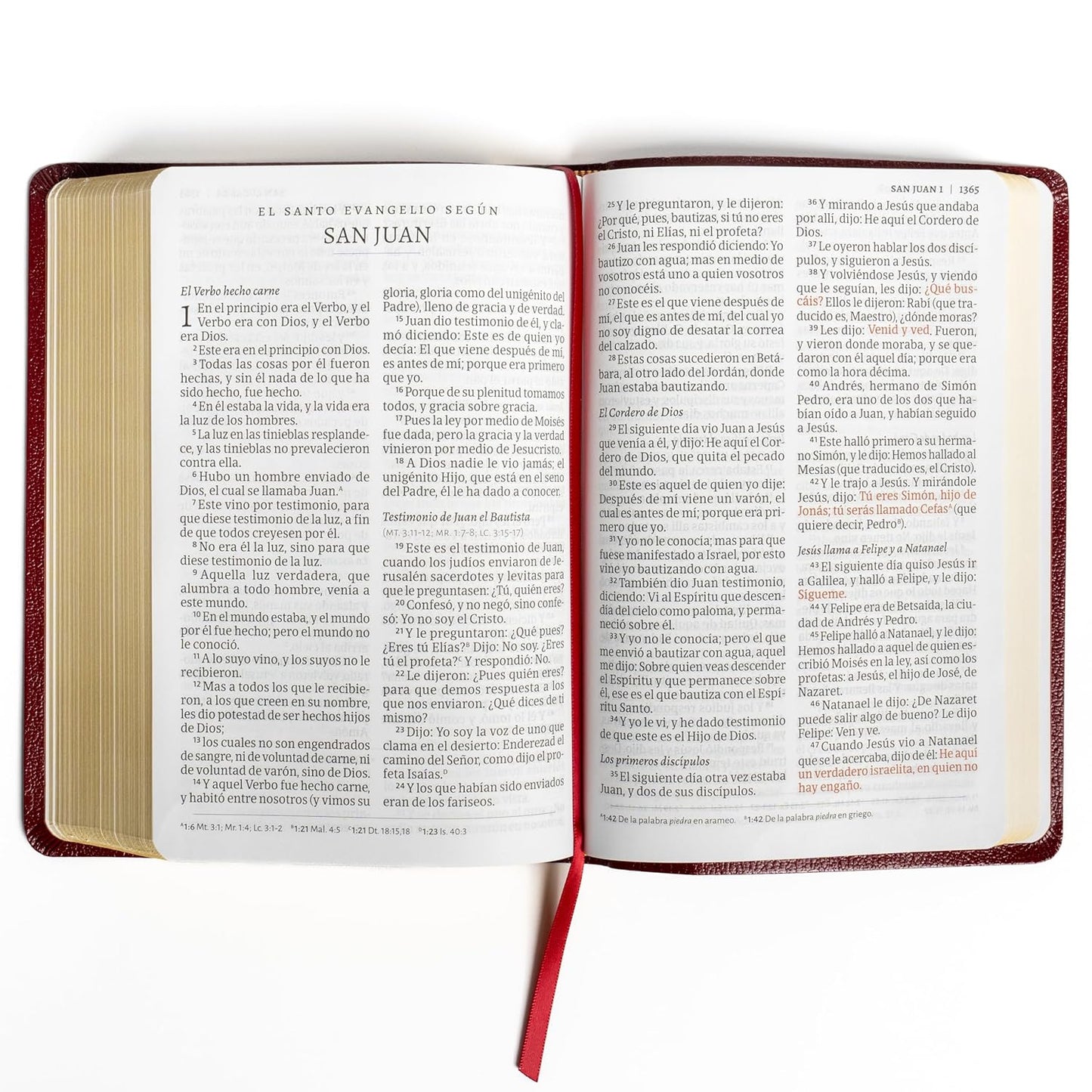 RVR 1960 Biblia Letra Gigante, Borgoña Imitación Piel