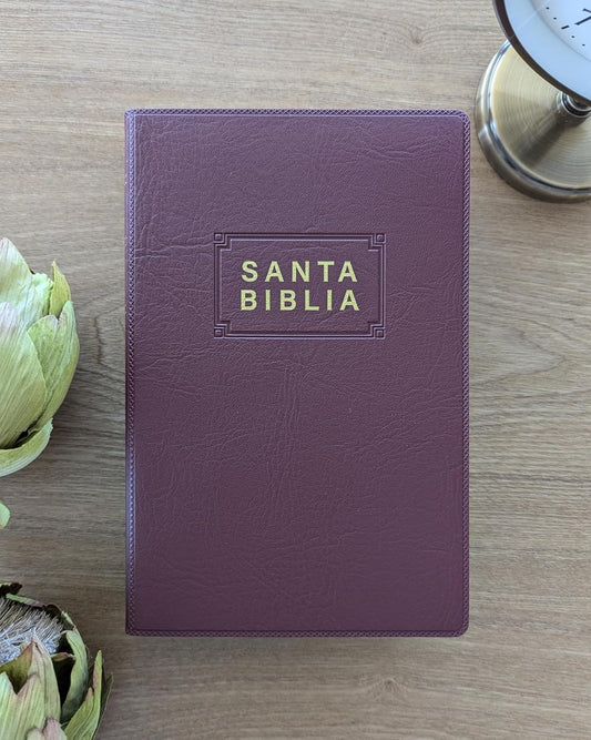 Biblia Sagrada | NTV | ViniPiel vino tinto | Letra roja | Español