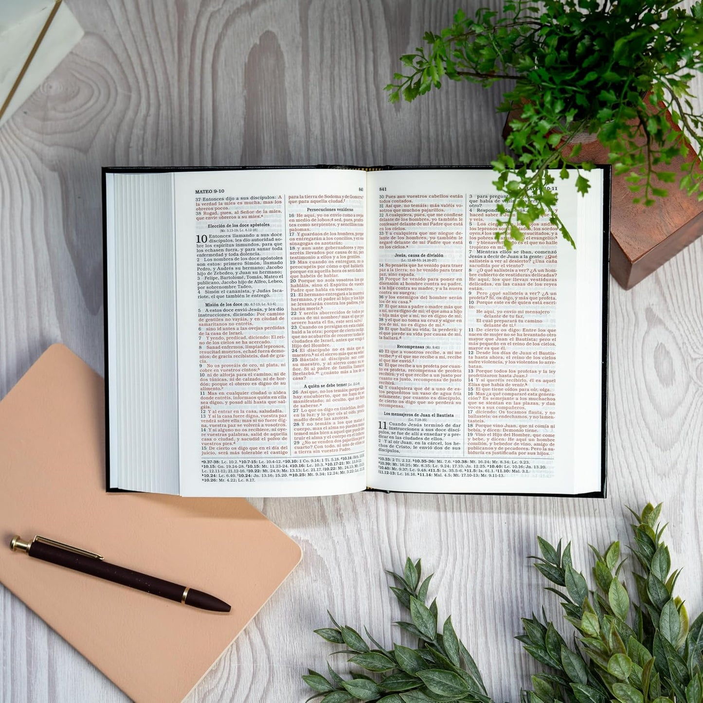 Biblia Sagrada | RVR 1960 | Tapa dura negra | Español