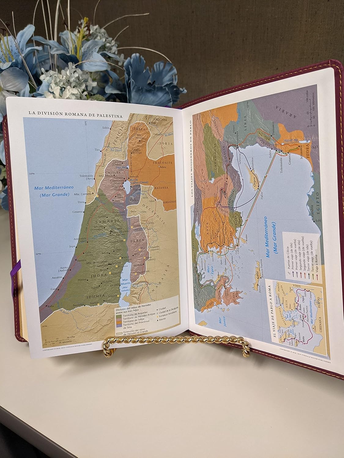 Santa Biblia RVR 1960 | Edición de Referencia Ultrafina | Letra Grande | SentiPiel Café Rojizo | Letra Roja