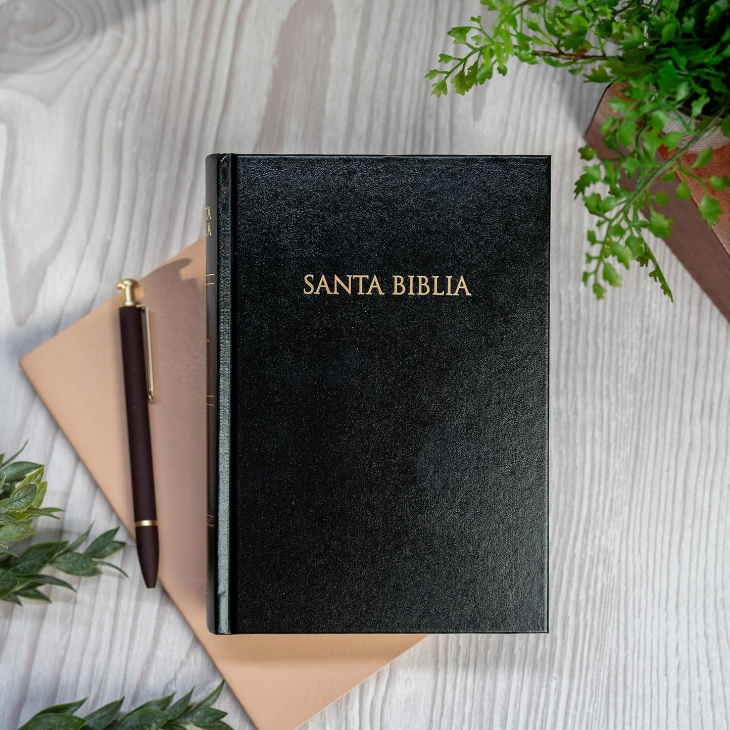 Biblia Sagrada | RVR 1960 | Tapa dura negra | Español