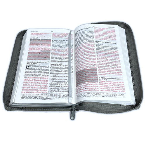 Santa Biblia de Promesas | RVR1960 | Letra Grande | Tamaño Manual con Cierre | Gris