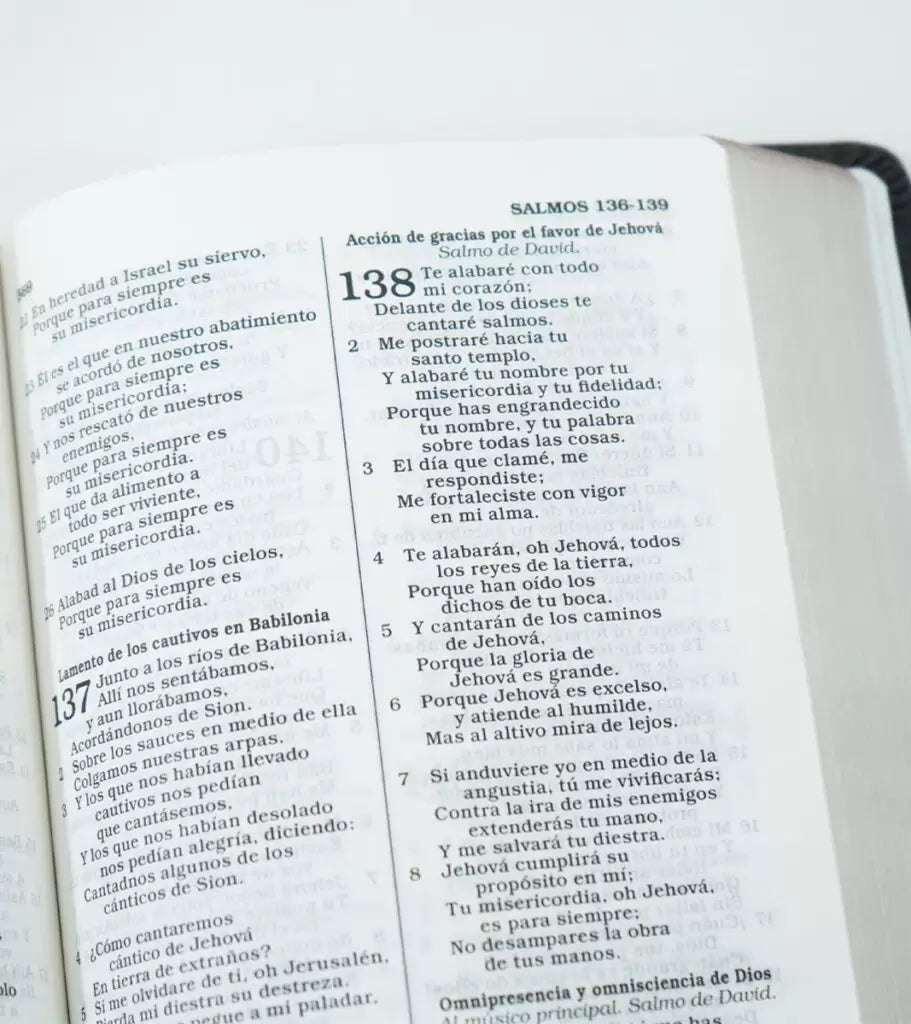 Biblia Nueva Versión Internacional para Regalos y Premios | Símil Piel Negro y Plata