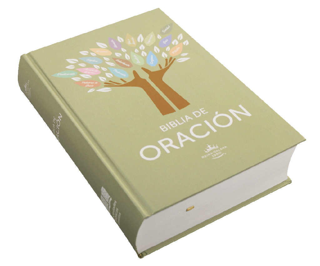 Biblia de Estudio de Oración | Reina Valera 1960 | Letra gigante | Tapa dura | Español