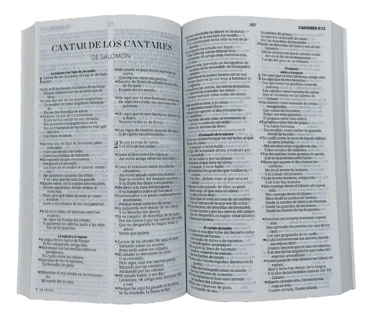 Biblia Reina Valera 1960 | Económica | Tamaño Manual | Cordero y León