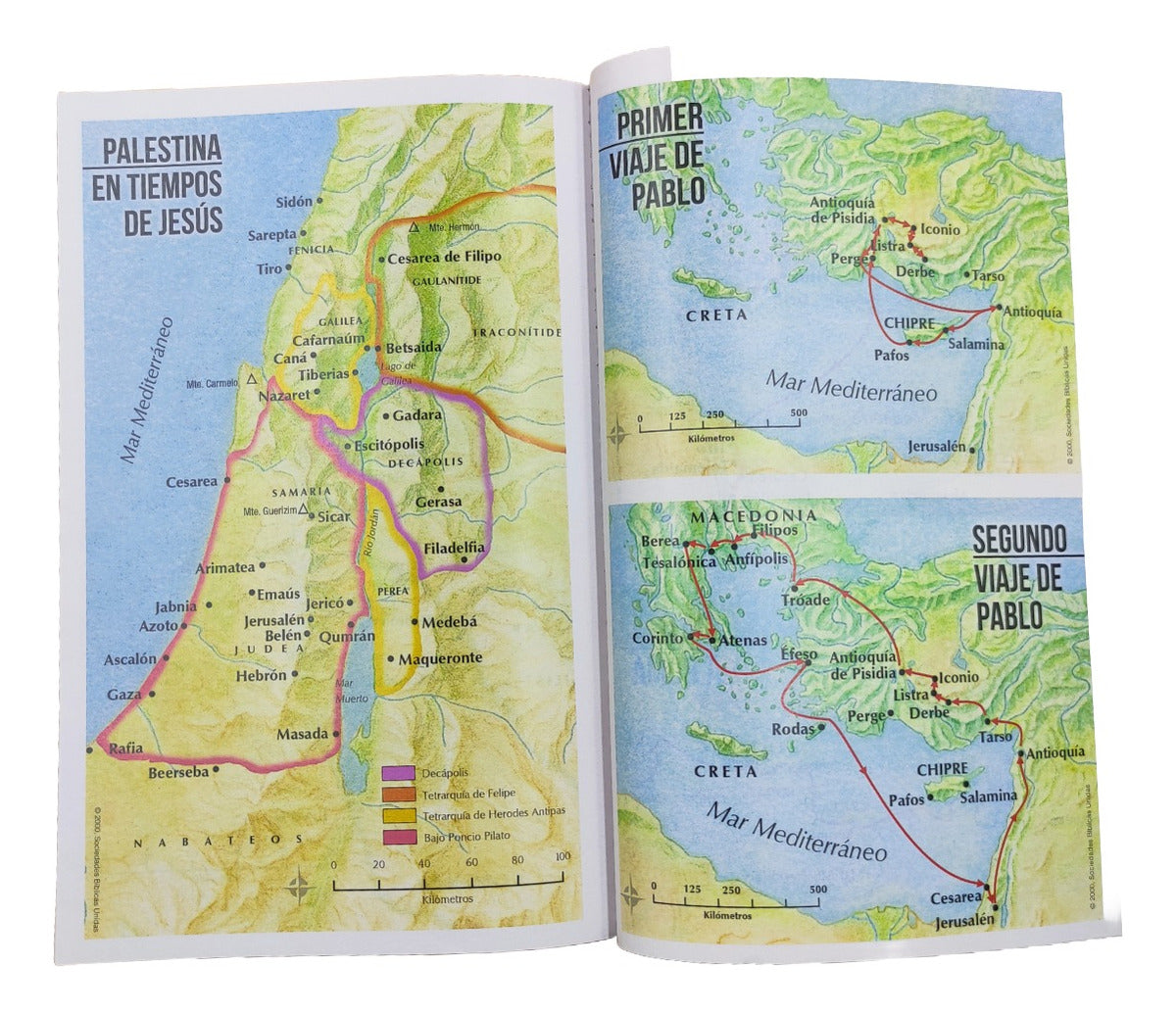 Biblia Reina Valera 1960 | Económica | Tamaño Manual | Cordero y León