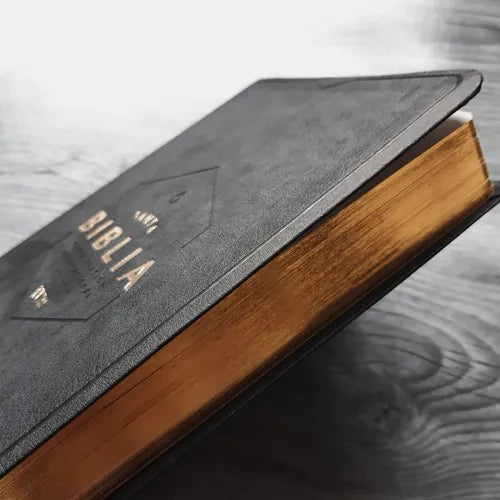 Biblia NVI Tipo Agenda, Imitación Piel, Borde Dorado